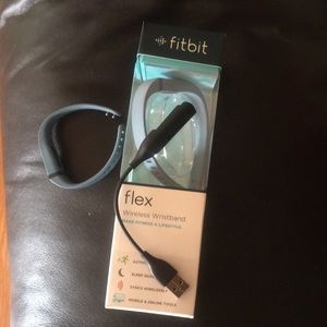 Fitbit Flex in Slate Blue